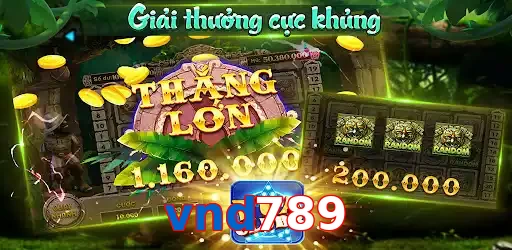 vnd789